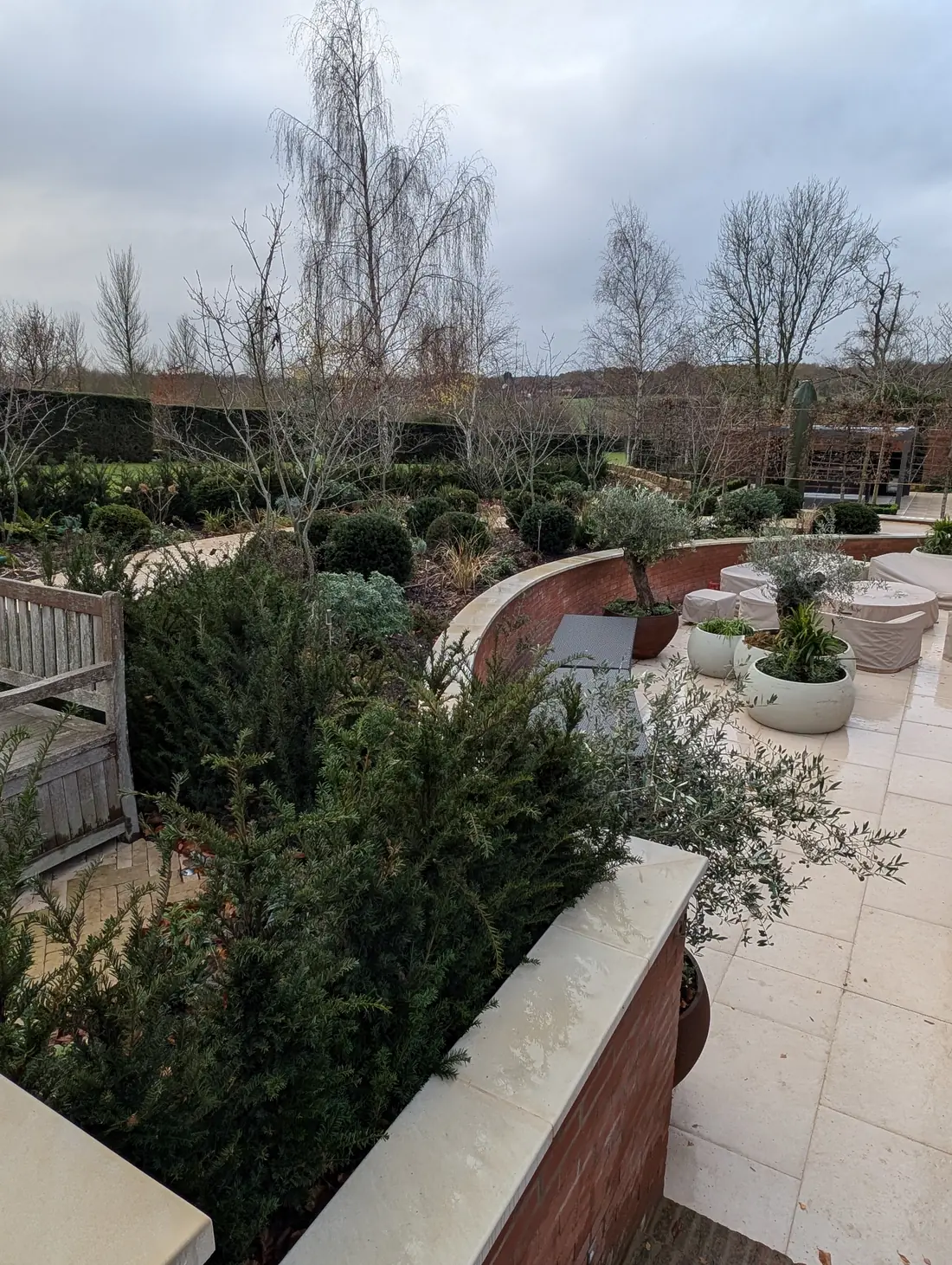 Curved brick retaining wall with stone coping around a raised terrace, olive trees and planted borders